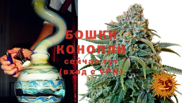 гидра Абаза