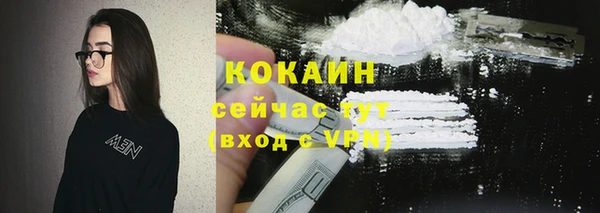 apvp Пестово