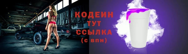 шишки Переславль-Залесский