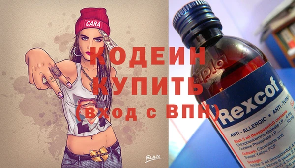прущие грибы Абинск