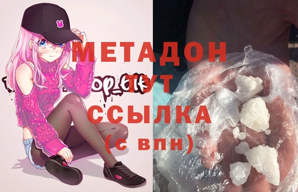 гидра Абаза