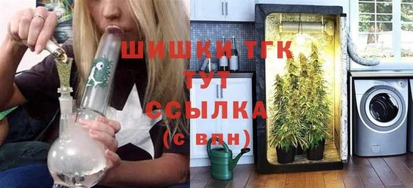 прущие грибы Абинск