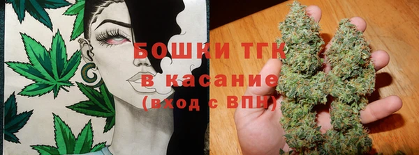 шишки Переславль-Залесский