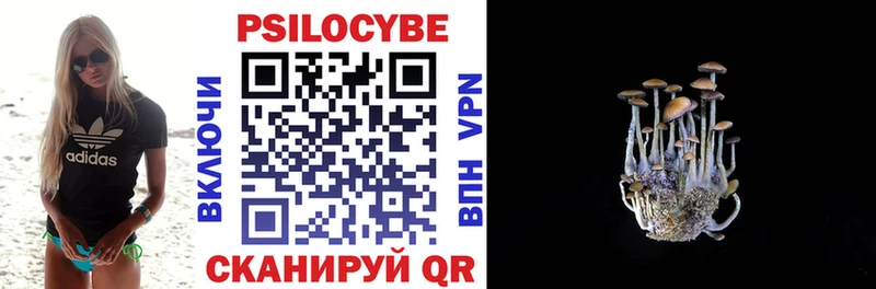 Псилоцибиновые грибы GOLDEN TEACHER  Ртищево 
